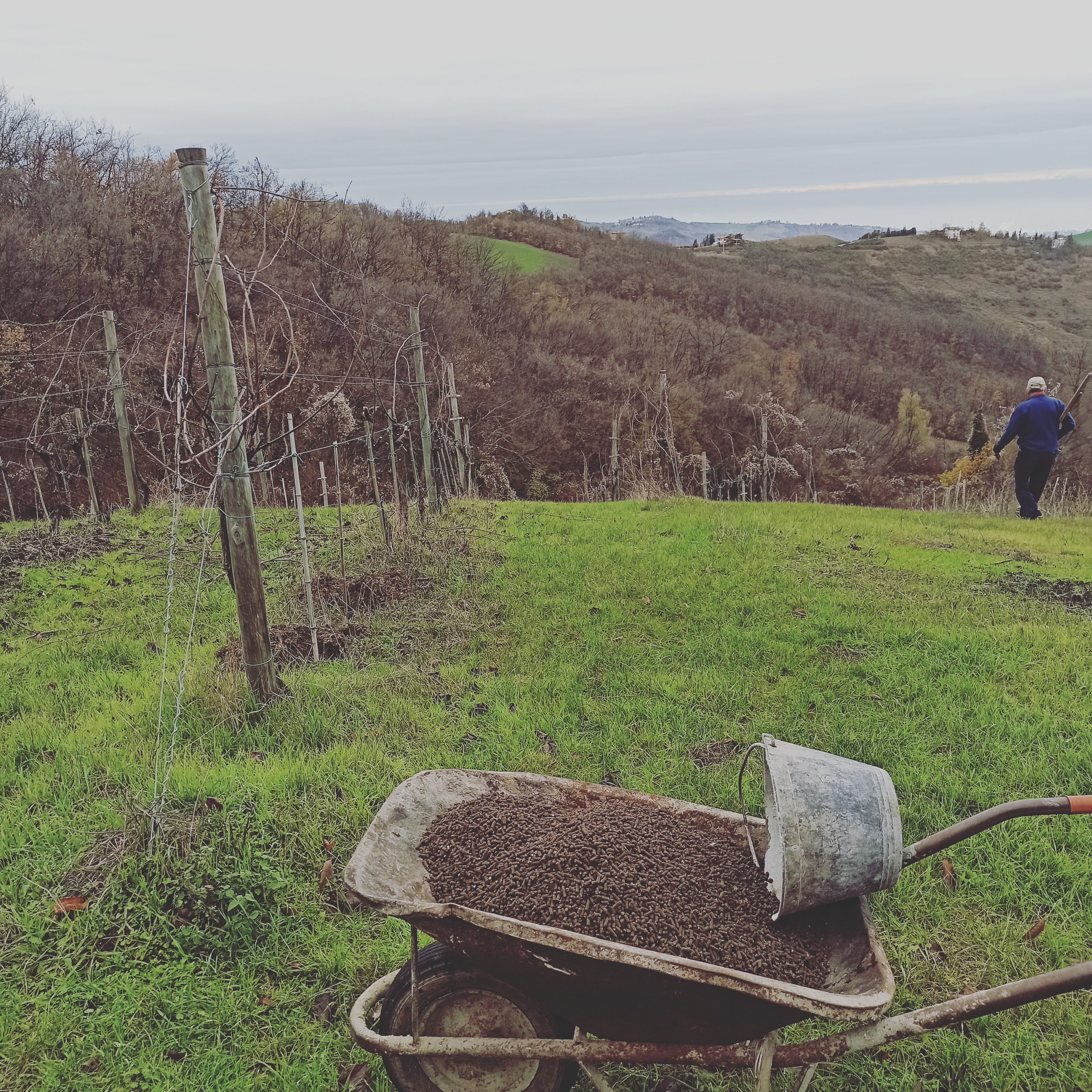Pratiche Artigianali - Mani e Lavoro